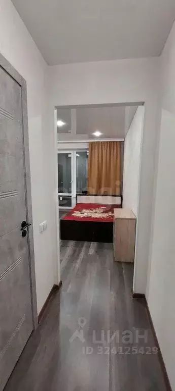 Студия Воронежская область, Воронеж ул. Независимости, 78к1 (17.3 м) - Фото 2