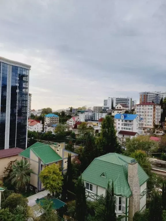 1-к кв. Краснодарский край, Сочи Мамайка мкр, ул. Волжская, 34/4 (27.0 ... - Фото 2