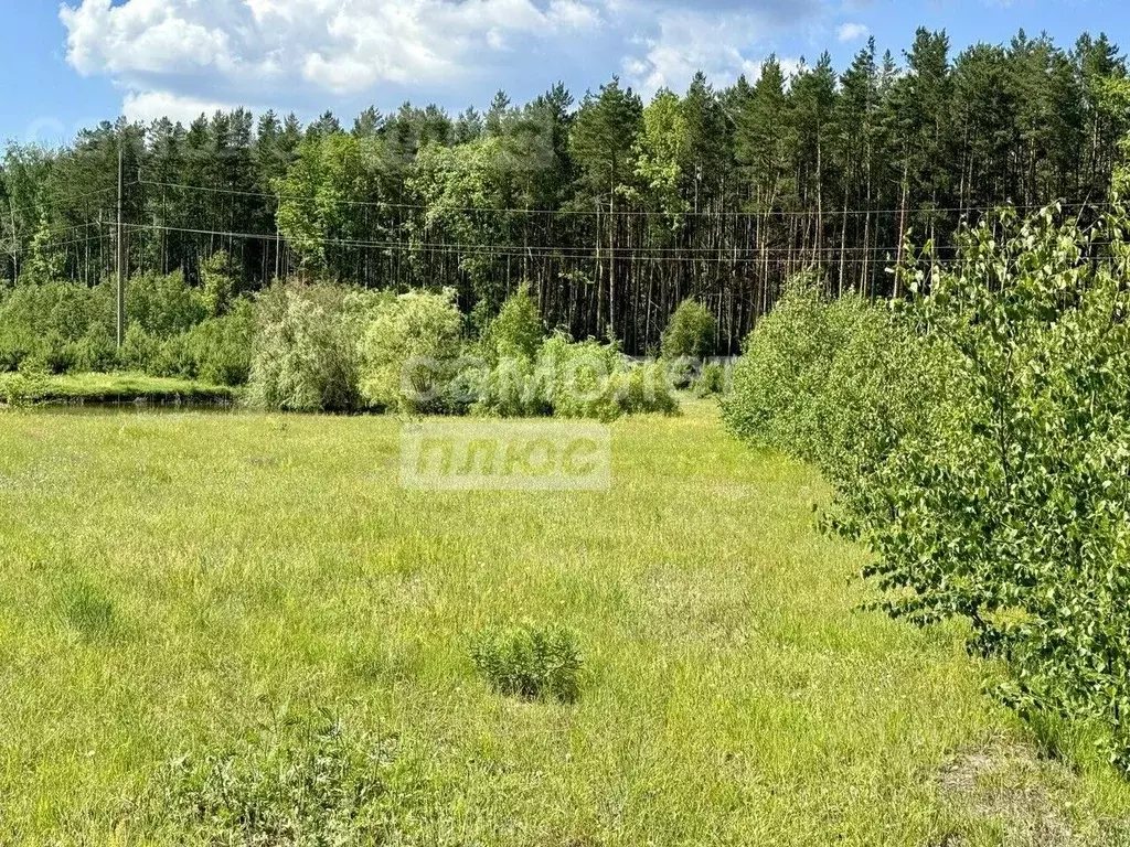 участок в тамбовская область, тамбовский муниципальный округ, новая . - Фото 0