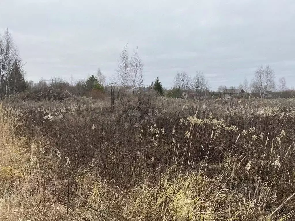 Участок в Калужская область, Перемышльский район, Большие Козлы с/пос, ... - Фото 2
