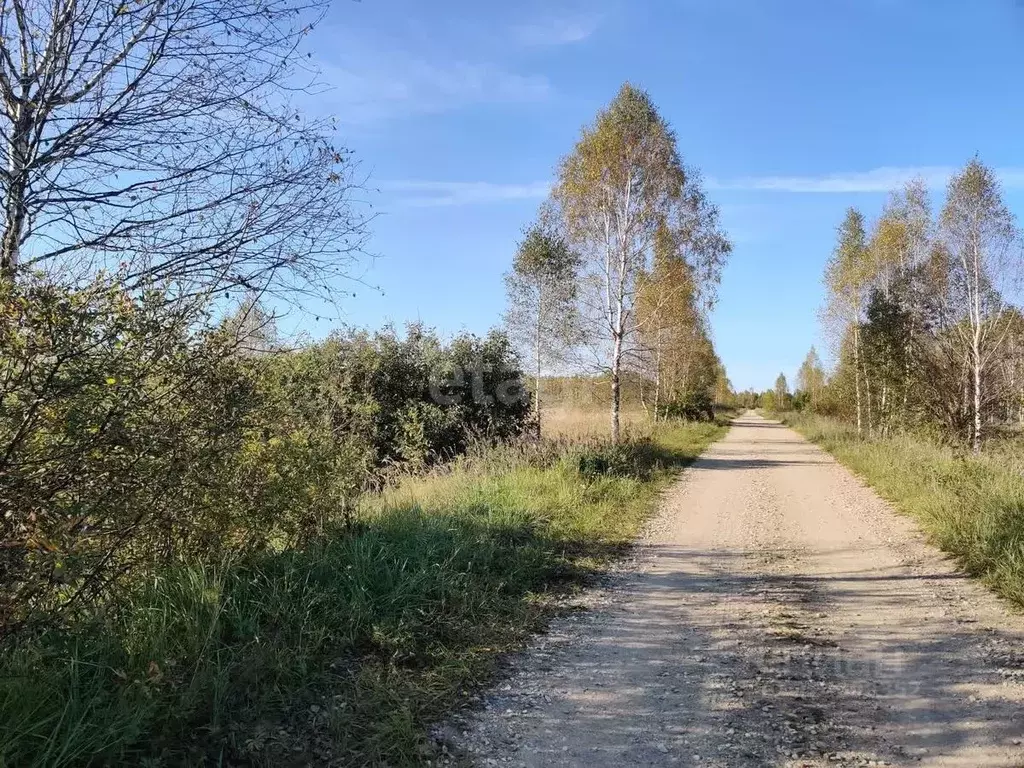 Участок в Смоленская область, Смоленский муниципальный округ, ... - Фото 1