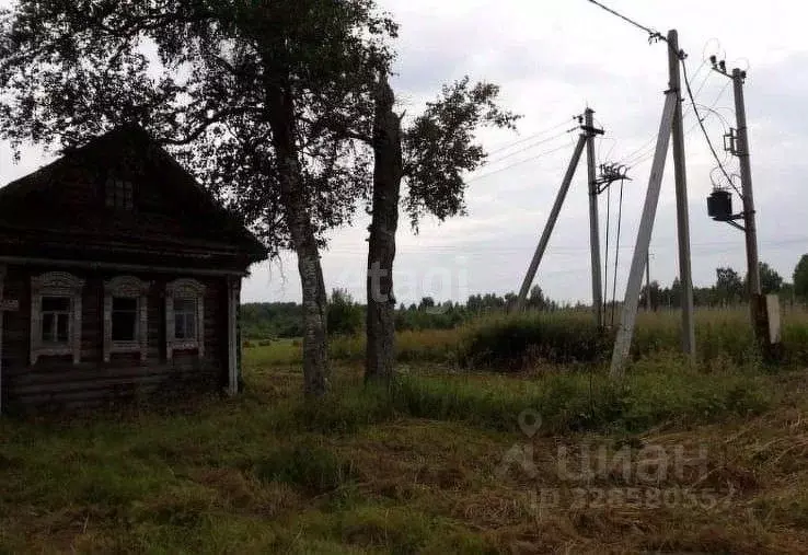 Участок в Ярославская область, Угличский муниципальный округ, д. ... - Фото 2