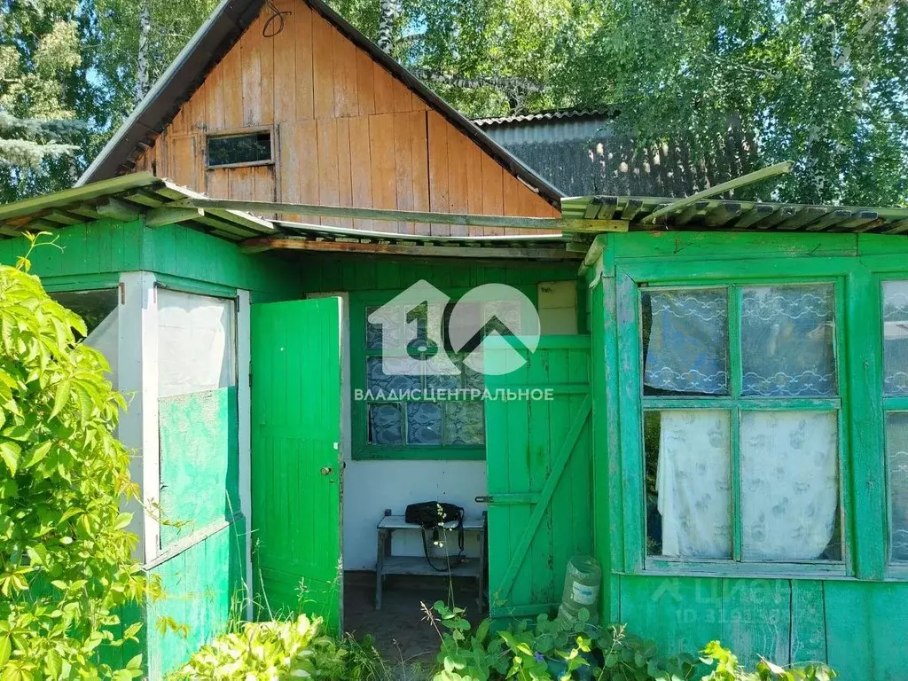 Участок в Новосибирская область, Новосибирский район, Барышевский ... - Фото 1