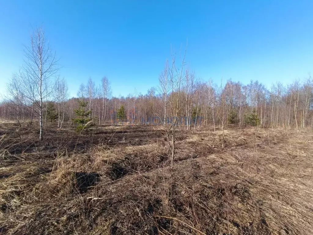 Участок в Нижегородская область, Богородский муниципальный округ, д. ... - Фото 1