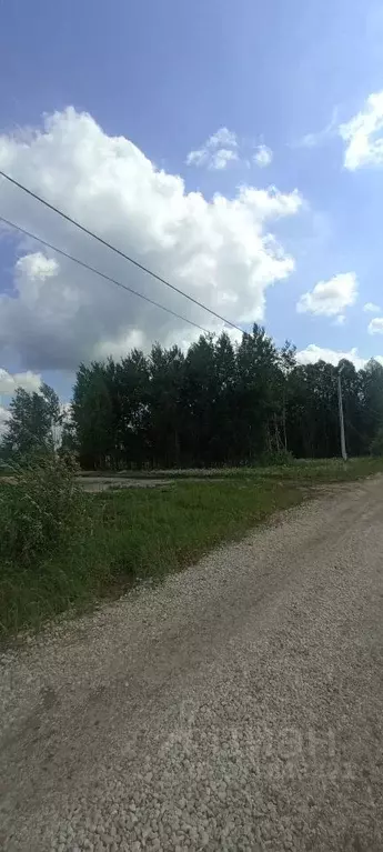 Участок в Рязанская область, Рязанский муниципальный округ, с. Поляны ... - Фото 2