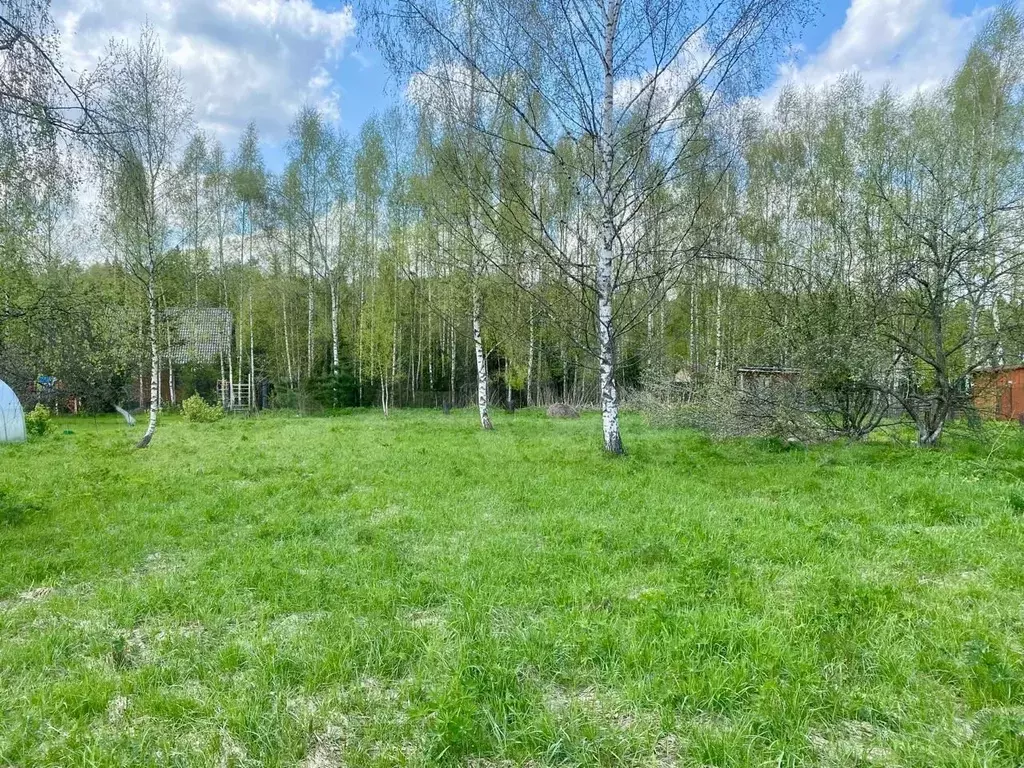 Участок 12 сот. (СНТ, ДНП) - Фото 1