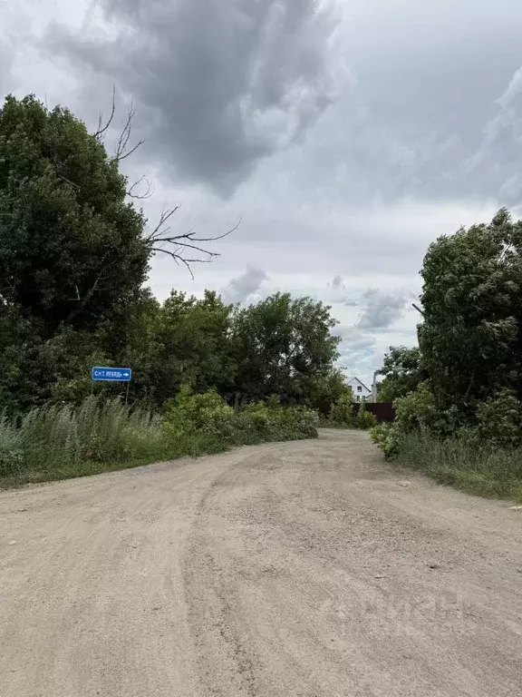 Участок в Воронежская область, Новоусманский район, Усманское 1-е ... - Фото 1