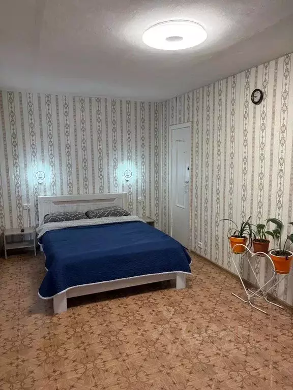 2-к кв. Ленинградская область, Волхов Молодежная ул., 8А (31.0 м) - Фото 2