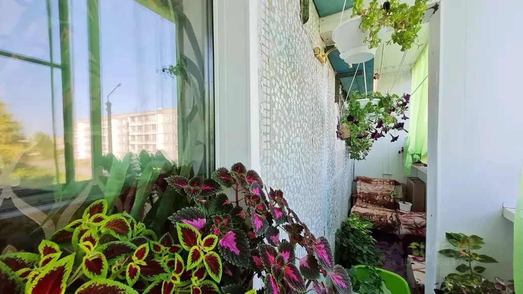 3-к кв. Кировская область, Киров Советская ул., 168 (67.0 м) - Фото 1