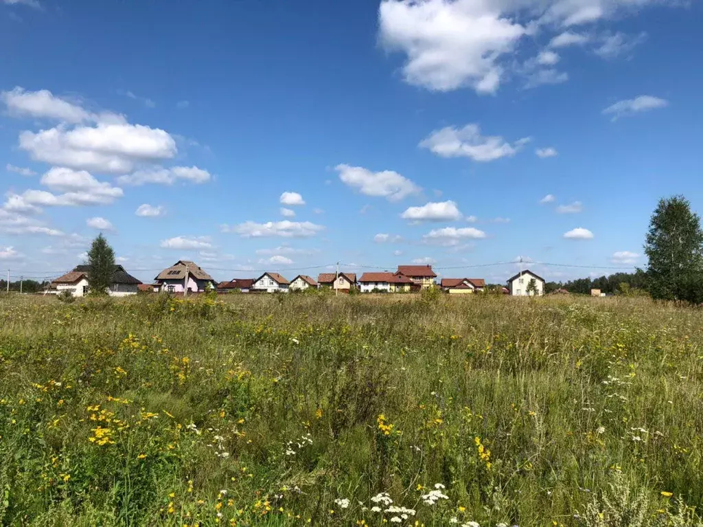 Участок в Калужская область, Таруса ул. Московская (19.5 сот.) - Фото 0