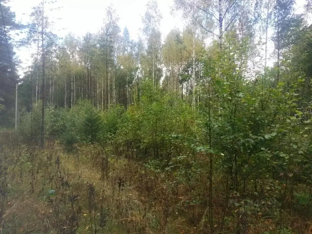 Участок в Псковская область, Гдовский муниципальный округ, д. ... - Фото 1