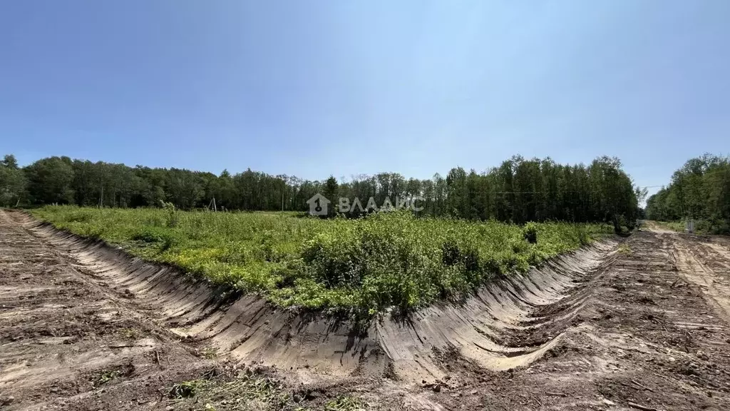 Участок в Ярославская область, Рыбинский муниципальный округ, д. ... - Фото 1
