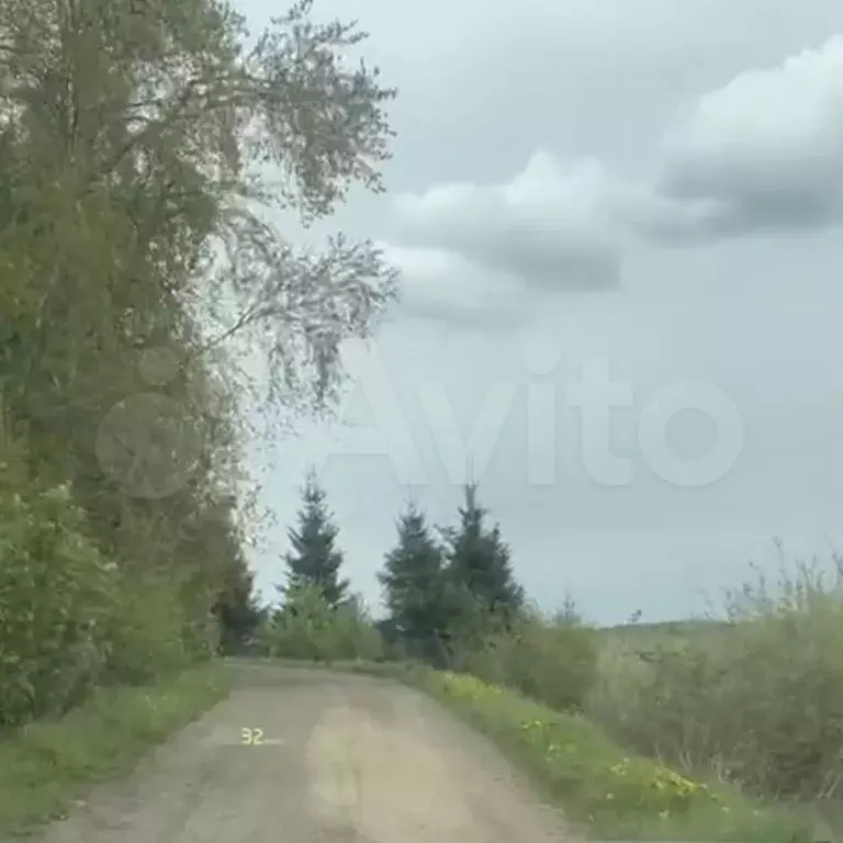 Участок 9 сот. (СНТ, ДНП) - Фото 1