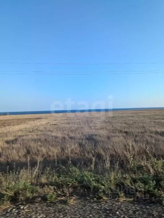 Участок в Крым, Черноморский район, Окуневское с/пос, с. Марьино  ... - Фото 1