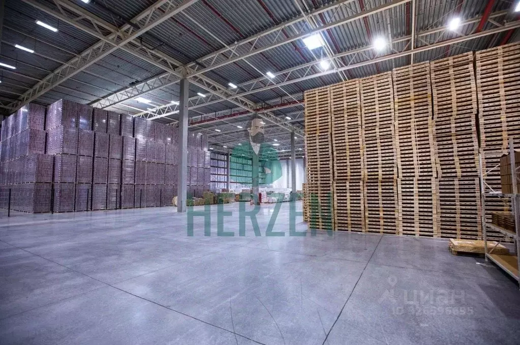 Склад в Московская область, Пушкино Ярославское ш., 228 (4000 м) - Фото 2