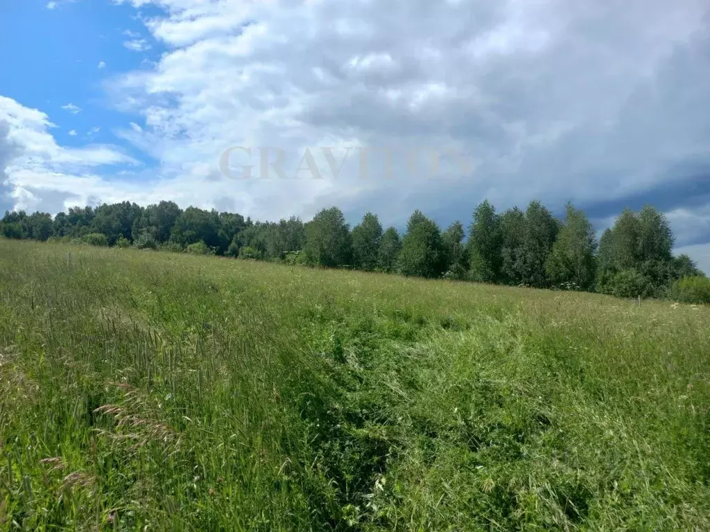 Участок в Алтай, Майминский район, с. Майма ул. Энергетиков (8.0 сот.) - Фото 1