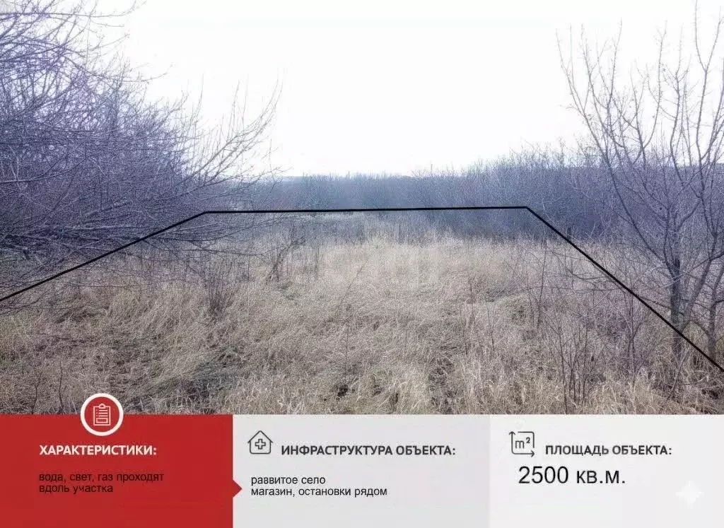 Участок в Белгородская область, Губкинский городской округ, с. ... - Фото 1