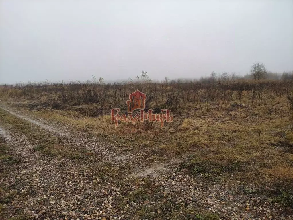 Участок в Московская область, Сергиево-Посадский городской округ, д. ... - Фото 2