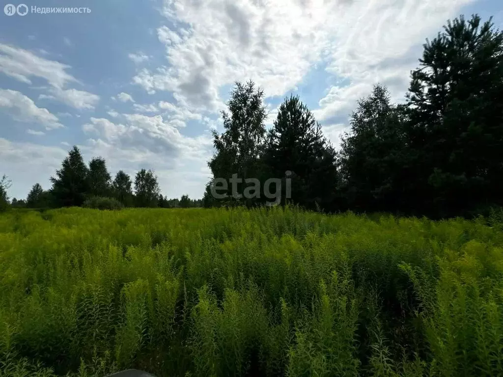 Участок в Нижегородская область, Городецкий муниципальный округ, ... - Фото 0