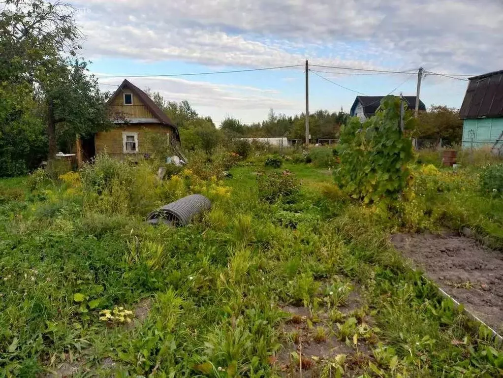 Участок в Ермолинское сельское поселение, садоводческий массив № 5, СТ ... - Фото 0