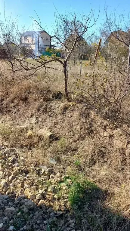 Дача 50 м на участке 4 сот. - Фото 1