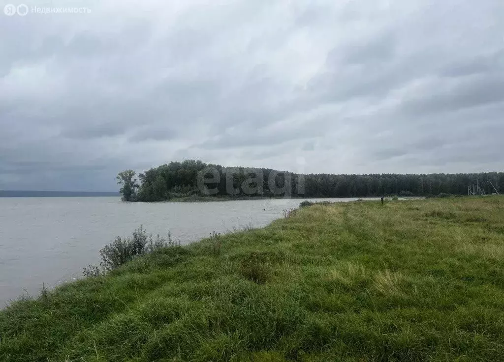 Участок в Ордынский район, село Красный Яр (570 м) - Фото 1