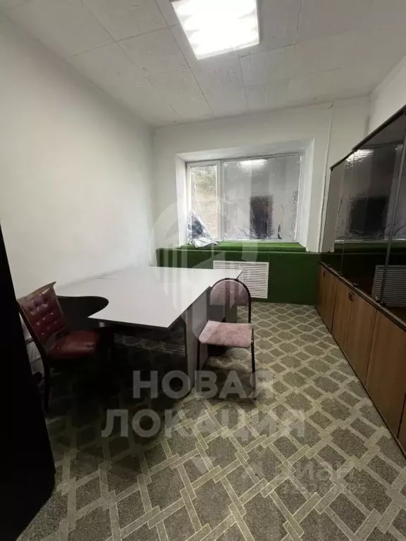 Офис в Омская область, Омск Енисейская ул., 1А (10 м) - Фото 2