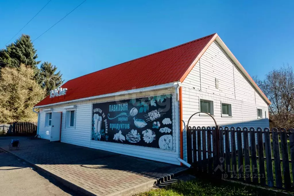 Торговая площадь в Алтайский край, Алтайский район, с. Алтайское ул. ... - Фото 1