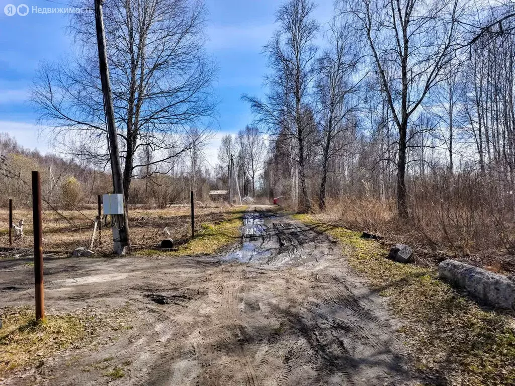 Участок в Нижнетавдинский район, СТ Фортуна (30 м) - Фото 1
