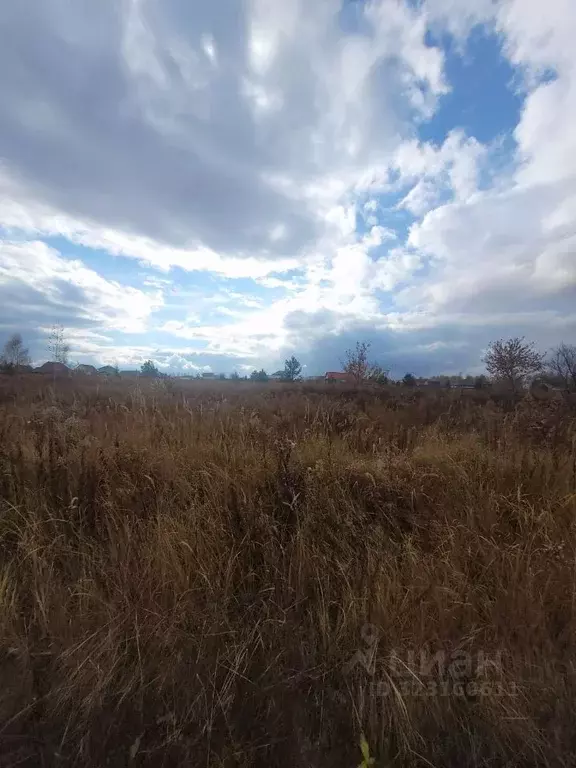 Участок в Пензенская область, Бессоновский район, с. Чемодановка ул. ... - Фото 2