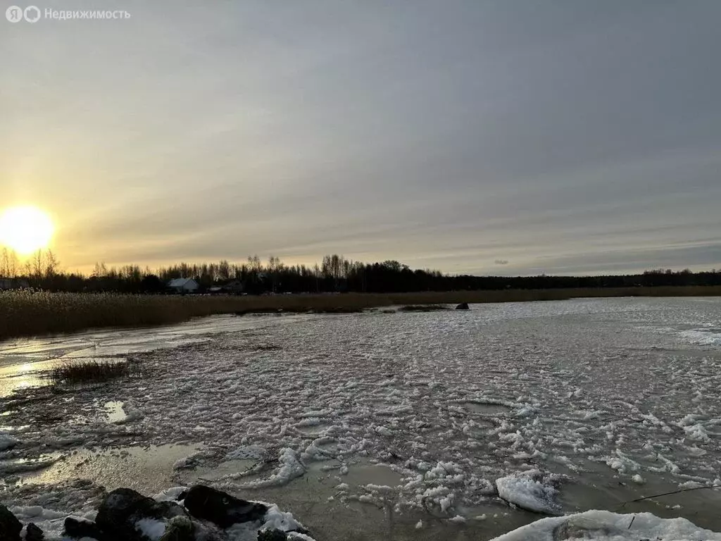 Участок в Выборгский район, Приморское городское поселение, посёлок ... - Фото 1