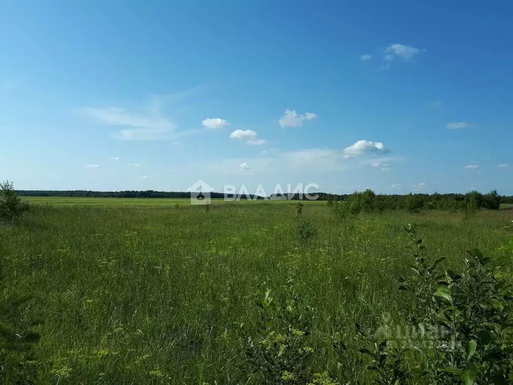 Участок в Челябинская область, Красноармейский муниципальный округ, ... - Фото 0