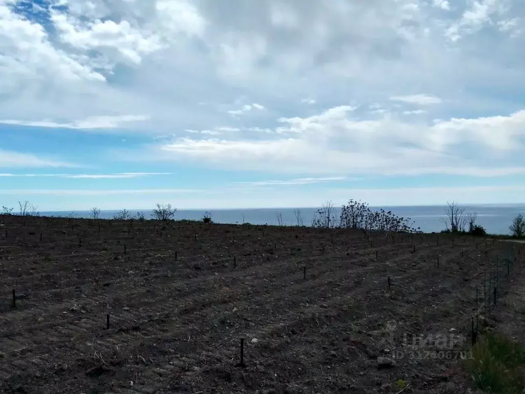 Участок в Крым, Ялта городской округ, Отрадное пгт  (19.0 сот.) - Фото 1