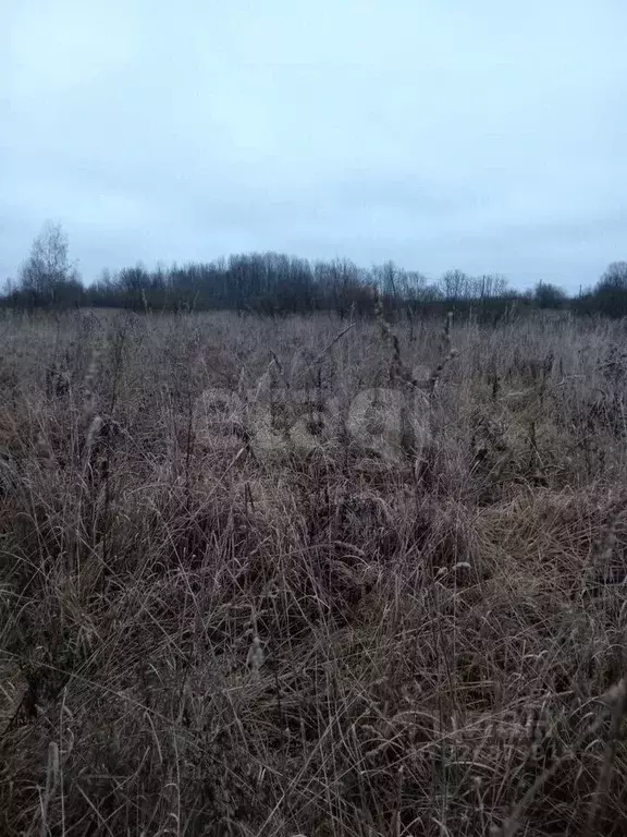Участок в Ярославская область, Ярославский муниципальный округ, д. ... - Фото 2