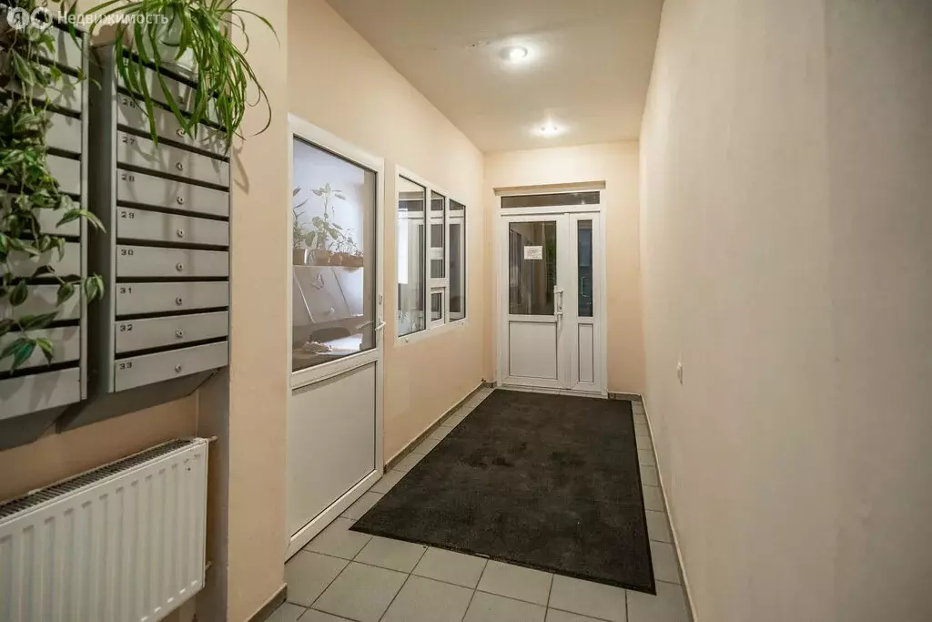 3-комнатная квартира: Санкт-Петербург, 2-я линия Васильевского ... - Фото 2