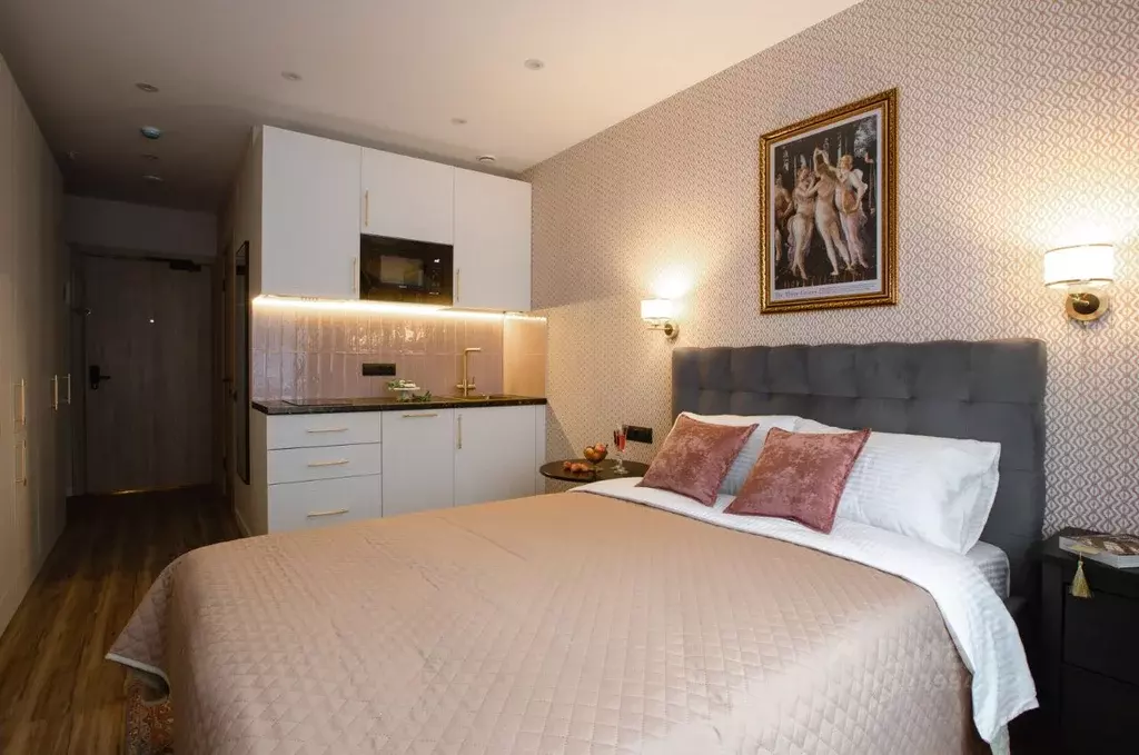 Студия Санкт-Петербург просп. Энергетиков, 2к2 (25.0 м) - Фото 2