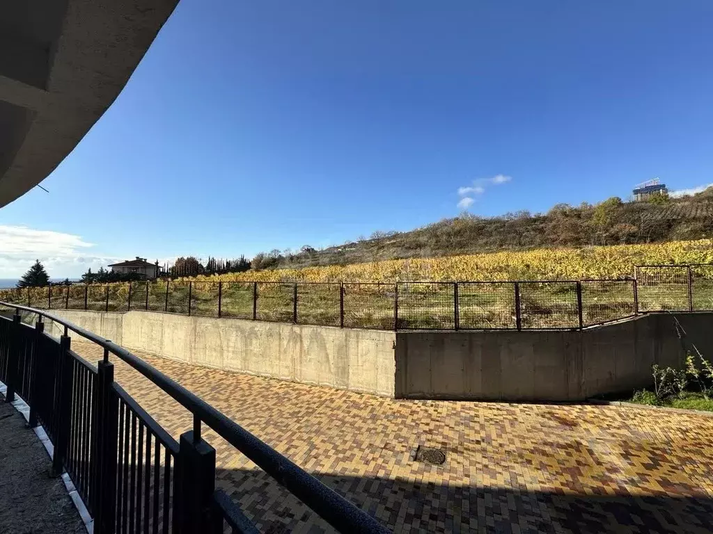 Студия Крым, Ялта муниципальный округ, Ливадия пгт ул. Виноградная, ... - Фото 1