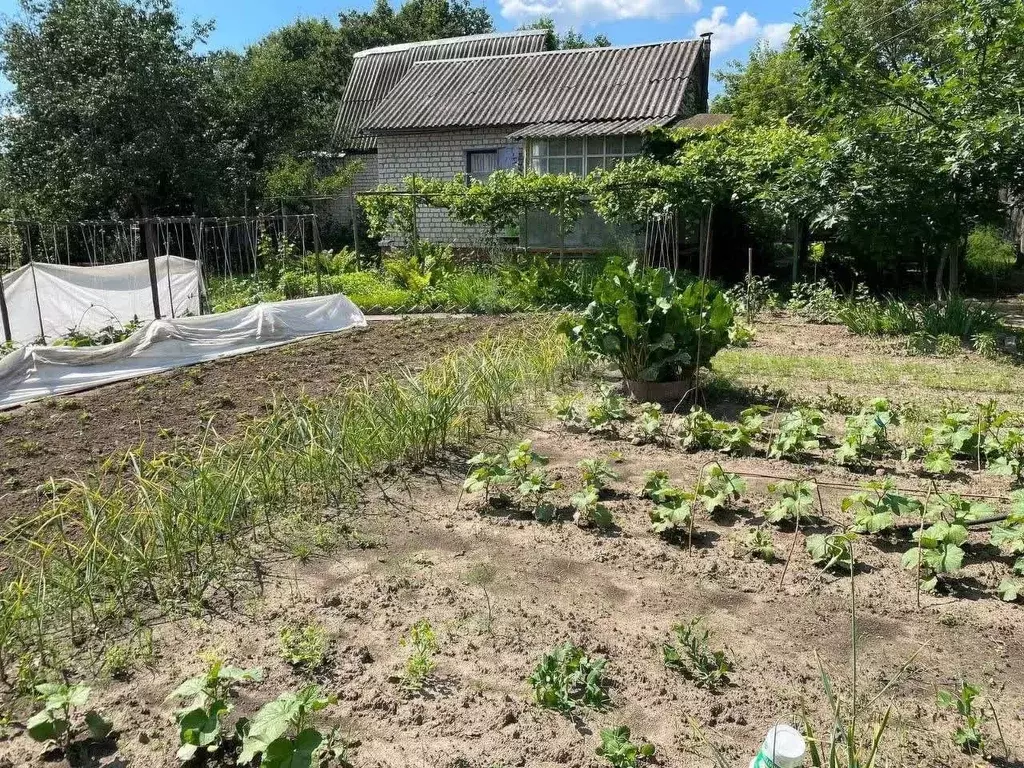 Дом в Брянская область, Брянск Десна-2 садовое общество,  (33 м) - Фото 0