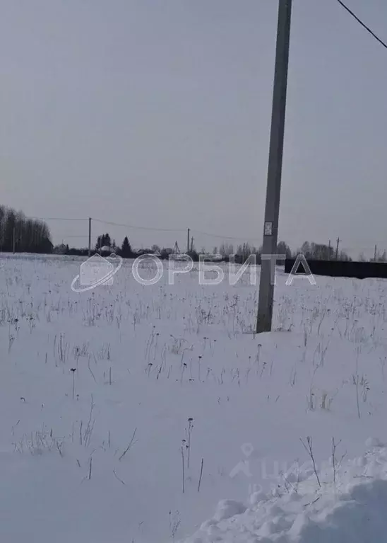 Участок в Тюменская область, Тюменский район, д. Марай  (12.0 сот.) - Фото 1