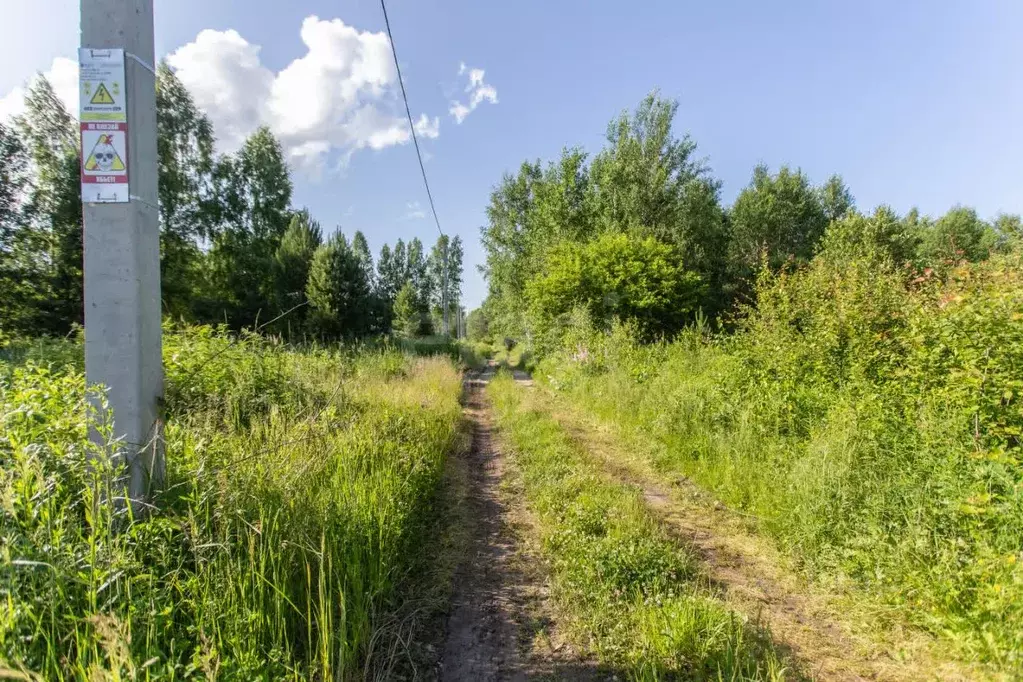 Участок в Тюменская область, Тобольский муниципальный округ, ... - Фото 1