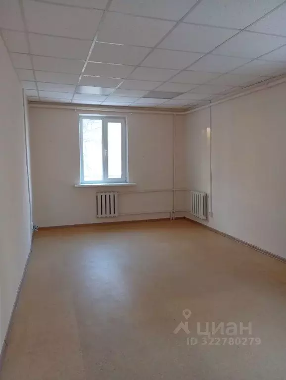 Помещение свободного назначения в Брянская область, Брянск ул. ... - Фото 1