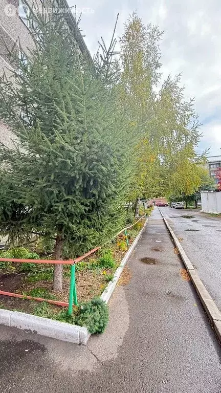 2-комнатная квартира: Абакан, улица Вяткина, 47 (50 м) - Фото 1