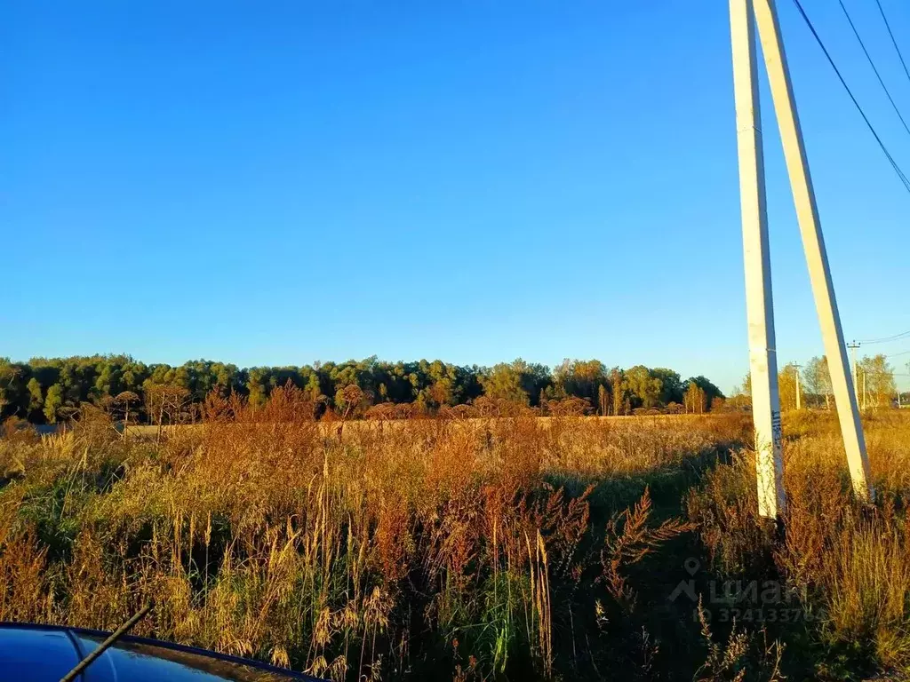 Участок в Московская область, Истра муниципальный округ, д. Загорье, ... - Фото 2