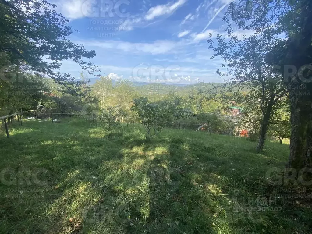 Участок в Краснодарский край, Сочи городской округ, с. Прогресс пер. ... - Фото 1
