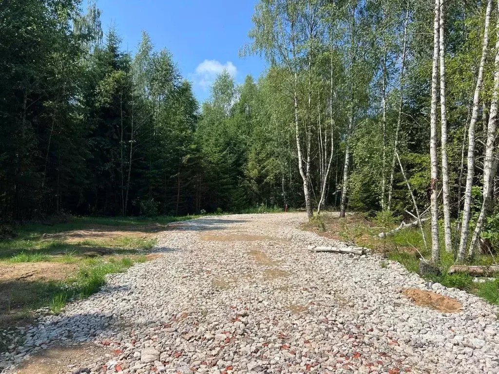 Участок в Московская область, Наро-Фоминский городской округ, д. ... - Фото 1