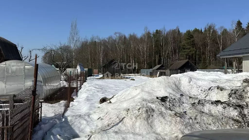 Участок в Московская область, Богородский городской округ, д. Молзино ... - Фото 1