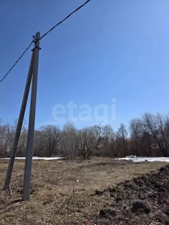Участок в Амурская область, Благовещенск Подснежник СТ,  (6.7 сот.) - Фото 1