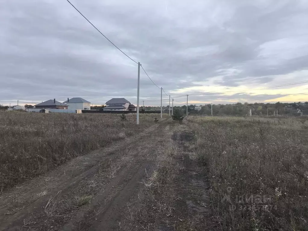 Участок в Курская область, Курский район, Новопоселеновский сельсовет, ... - Фото 2