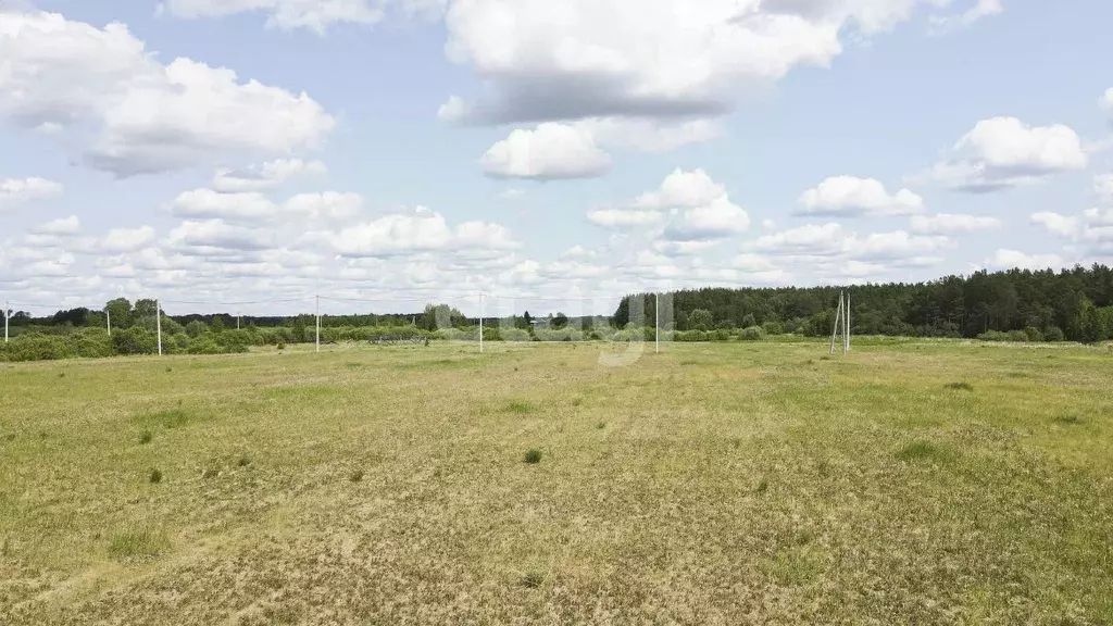 Участок в Свердловская область, Слободо-Туринский район, ... - Фото 0