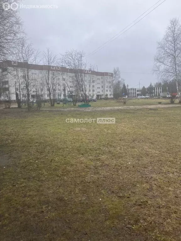 2-комнатная квартира: село Иванисово, улица Центральная Усадьба, 1 (48 ... - Фото 2